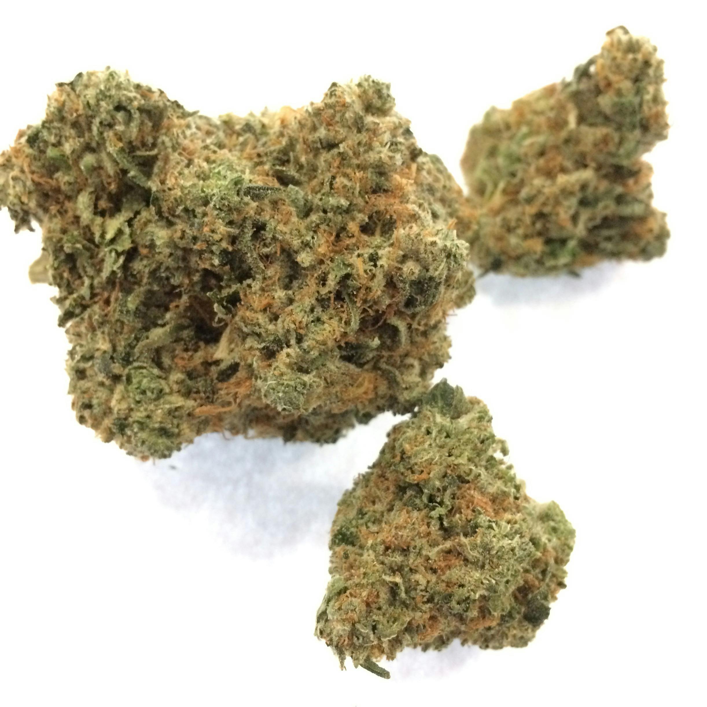 Chemmy Jones (Connoisseur)